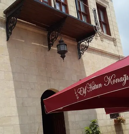 Elif Hatun Konagi 3*